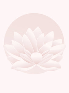 Lotus-blomst, dusty pink