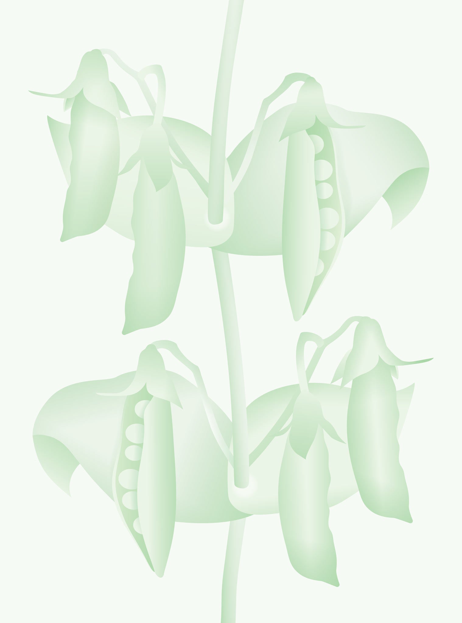Sukkererter