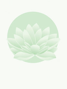 Lotus-blomst, dusty mint