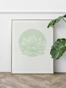 Lotus-blomst, dusty mint