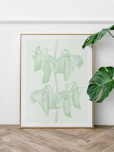 Sukkererter